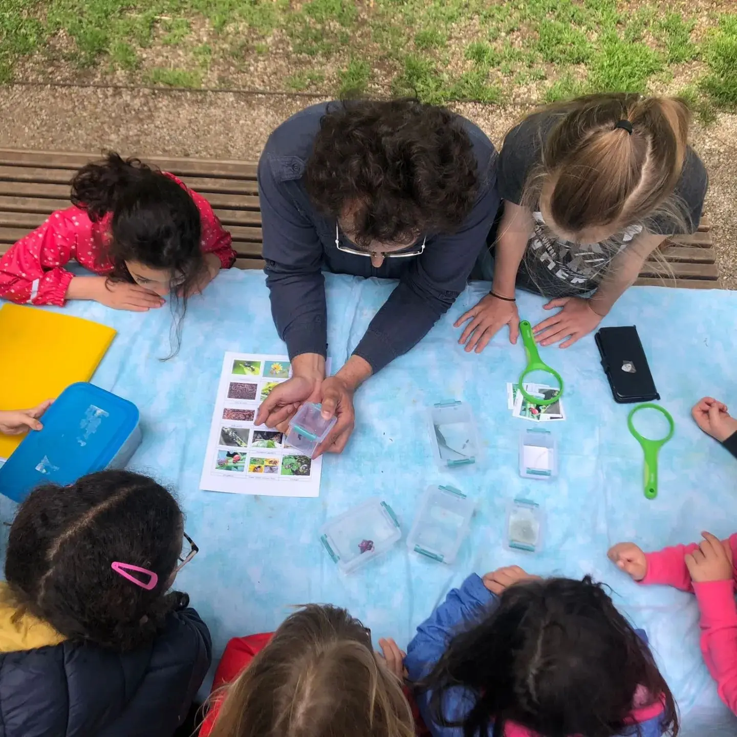 Atelier enfants, observation de la petite faune à la loupe