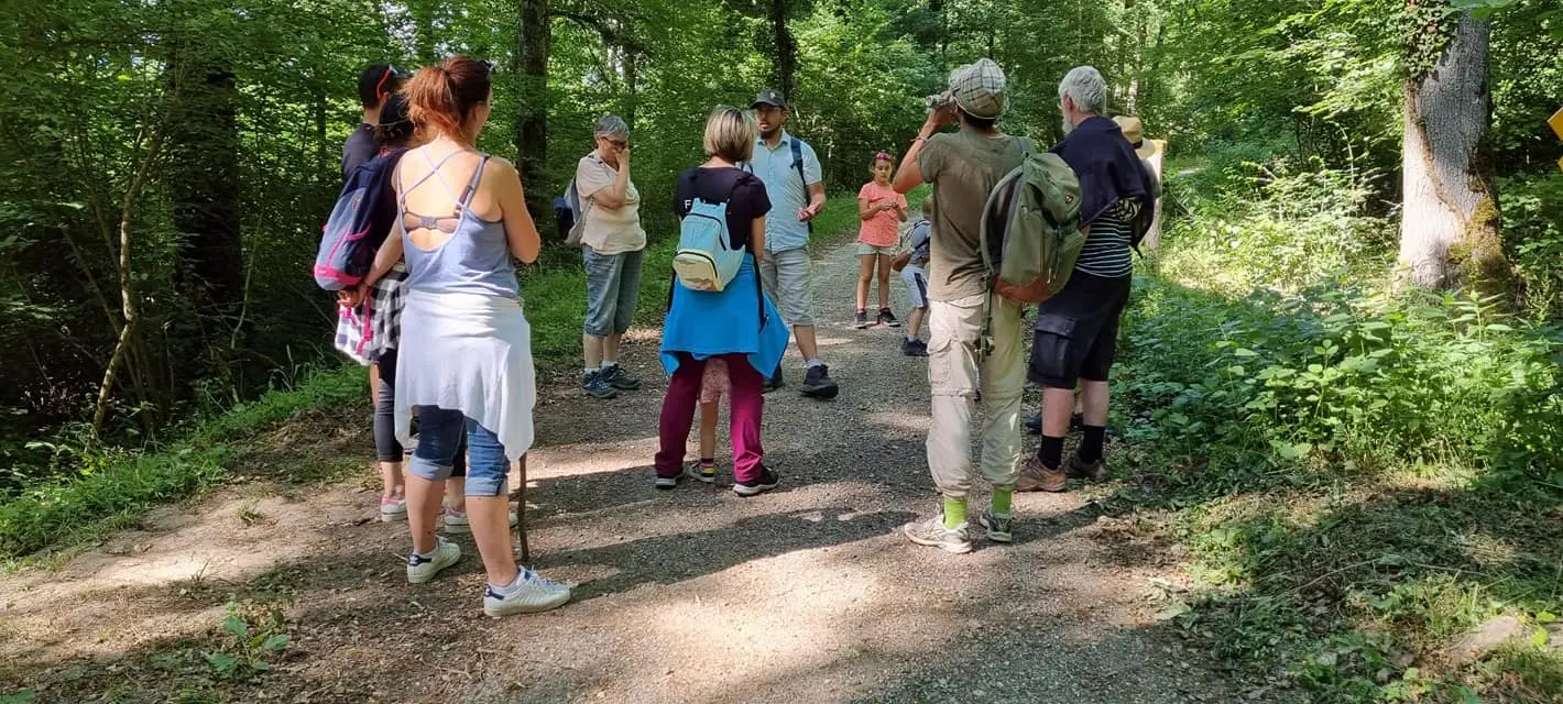 Atelier adultes en forêt, en cercle autour du guide