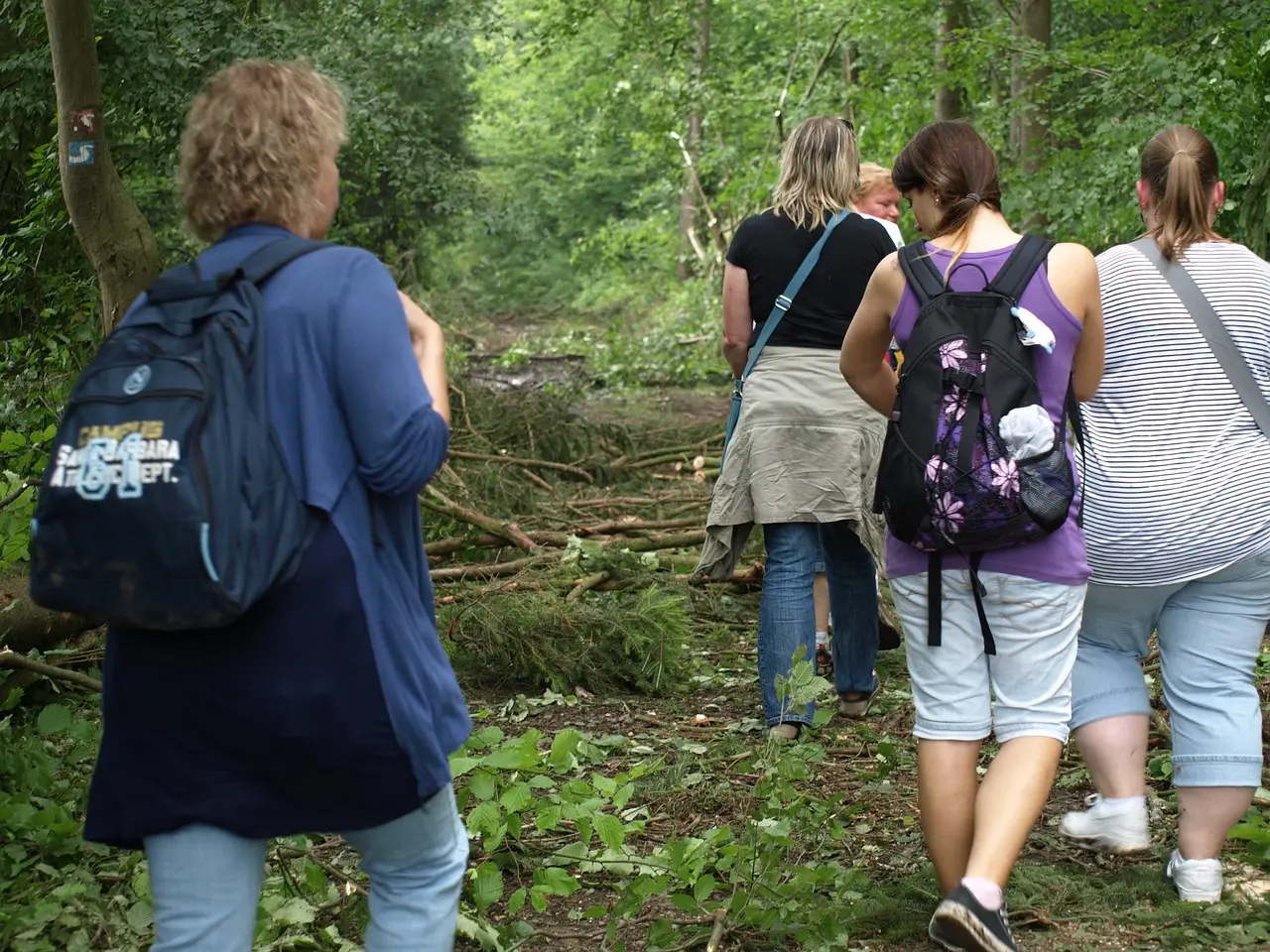 Sortie en groupe, marche en forêt
