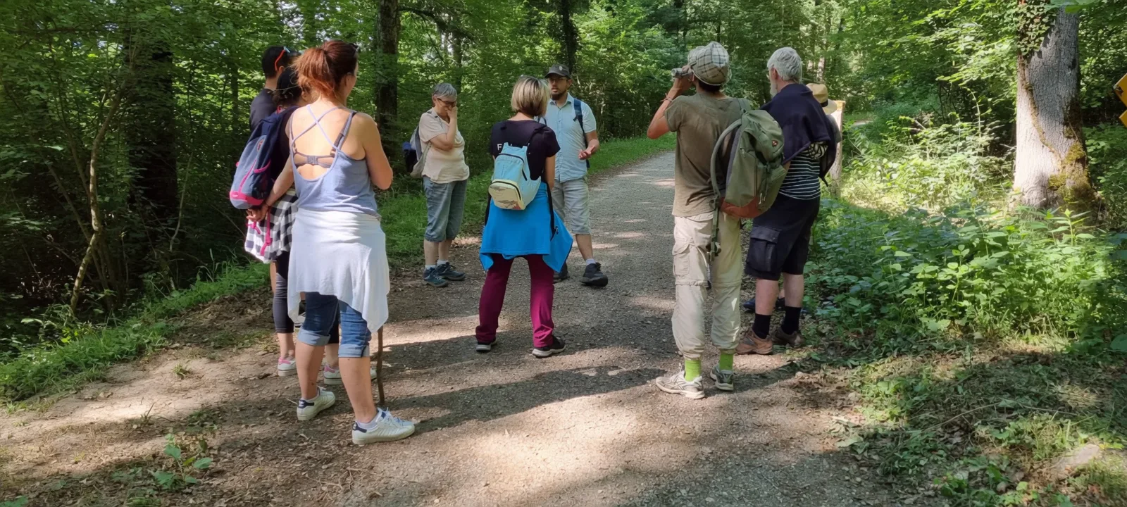 Atelier en forêt, un groupe rassemblé autour du guide