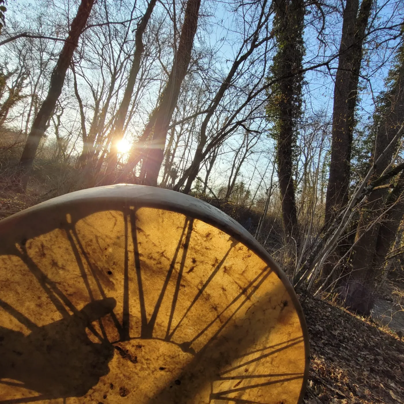Tambour chamanique à contre-jour en forêt